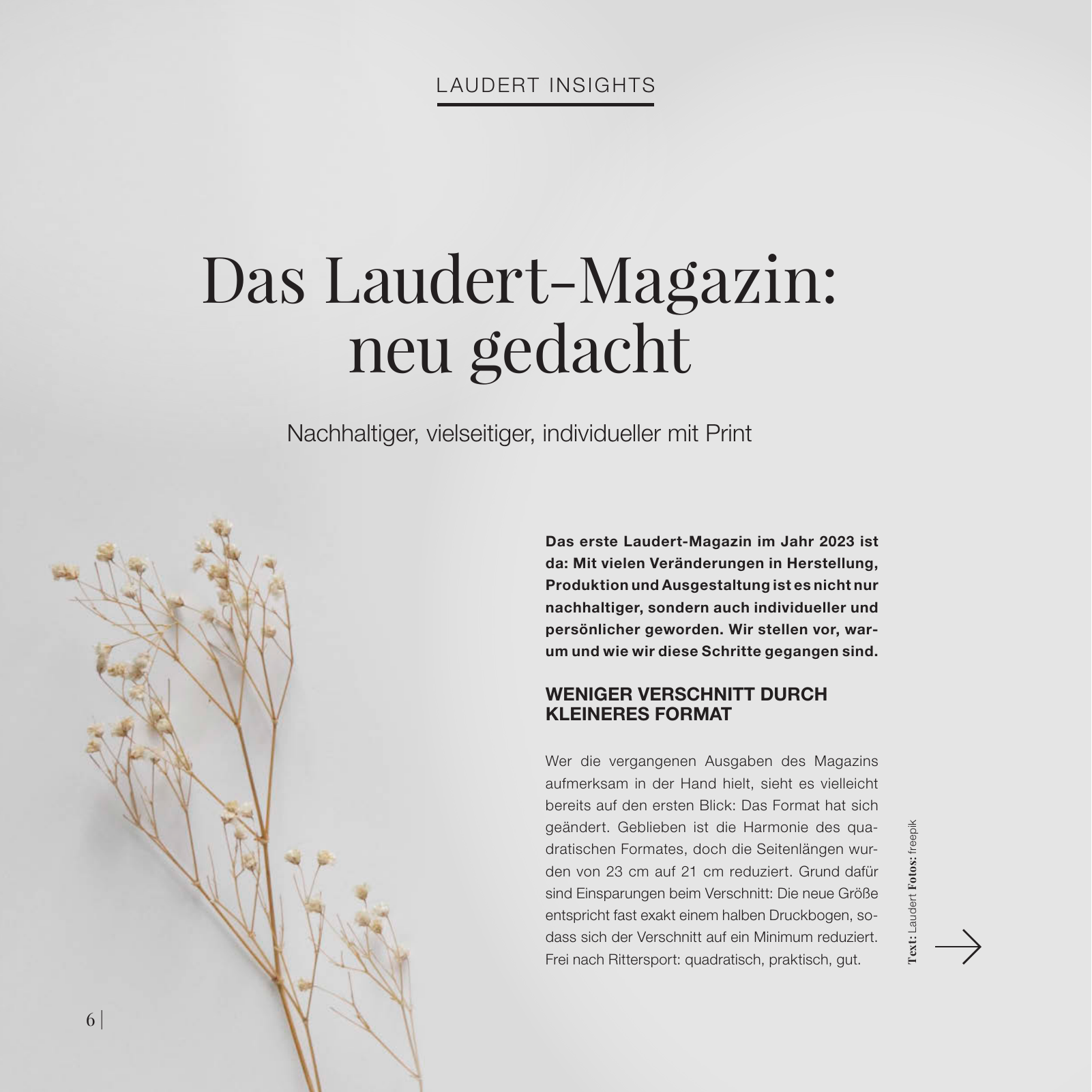 Vorschau Lau_Magazin_01-2023 Seite 6